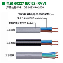 国标两芯圆头电源线
